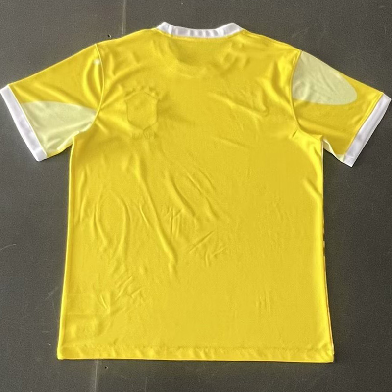 24-25 Brazil Special Edition Yellow Training Soccer Jersey  *城市版