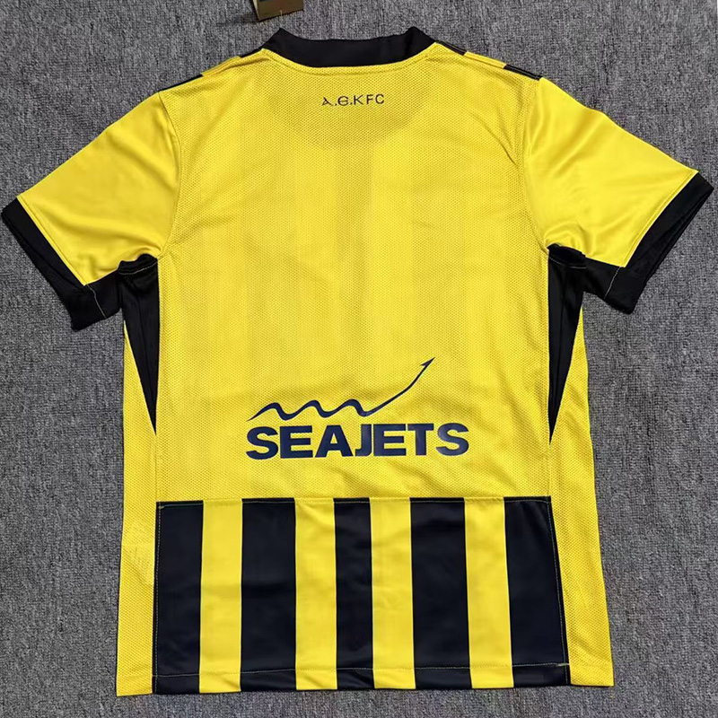 25-26 AEK Athens Home Fans Soccer Jersey