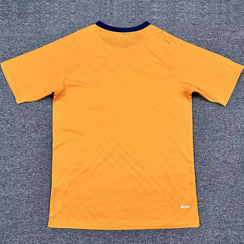 25-26 Cardiff City Third Fans Soccer Jersey