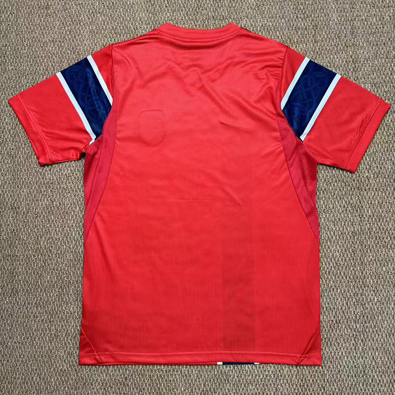 26-27 Norway Red Fans Soccer Jersey