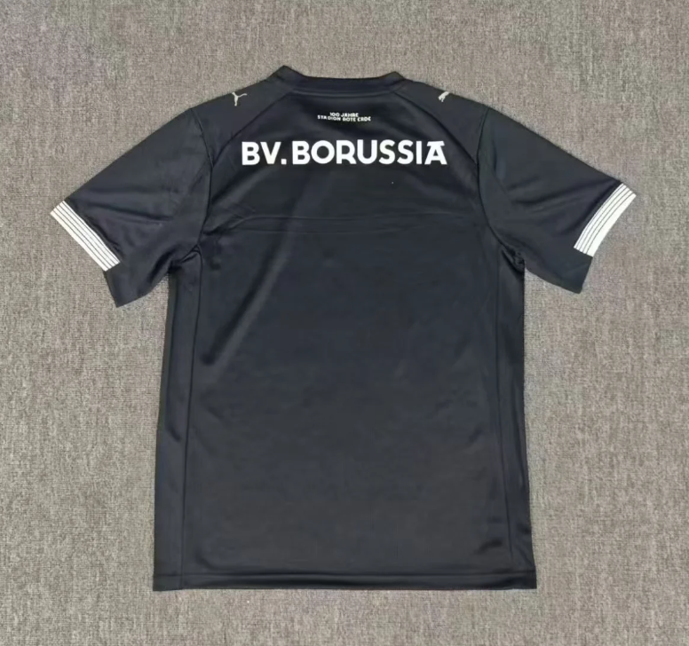 25-26 Dortmund Rote Erde 100th Anniversary Fans Soccer Jersey