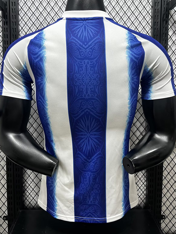 26-27 Argentina Blue White Special Edition Player Version Training shirts (黄标)