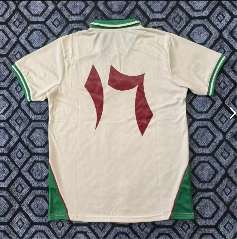 25-26 Palestine Fans Version Soccer Jersey