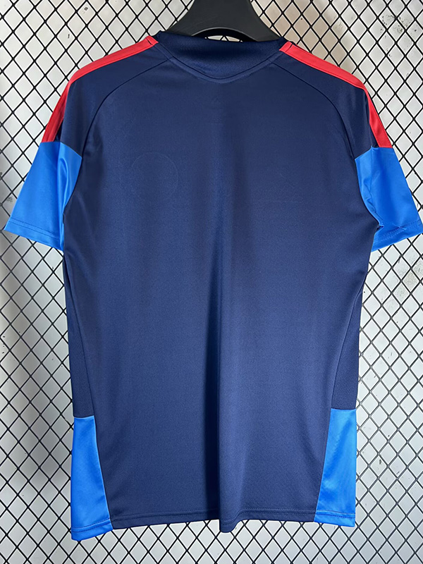 26-27 Colombia Royal blue Training shirts
