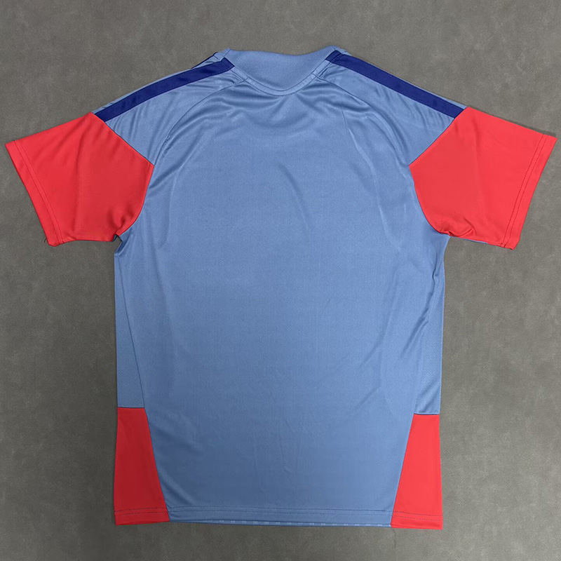 26-27 Japan Grey Fans Training shirts