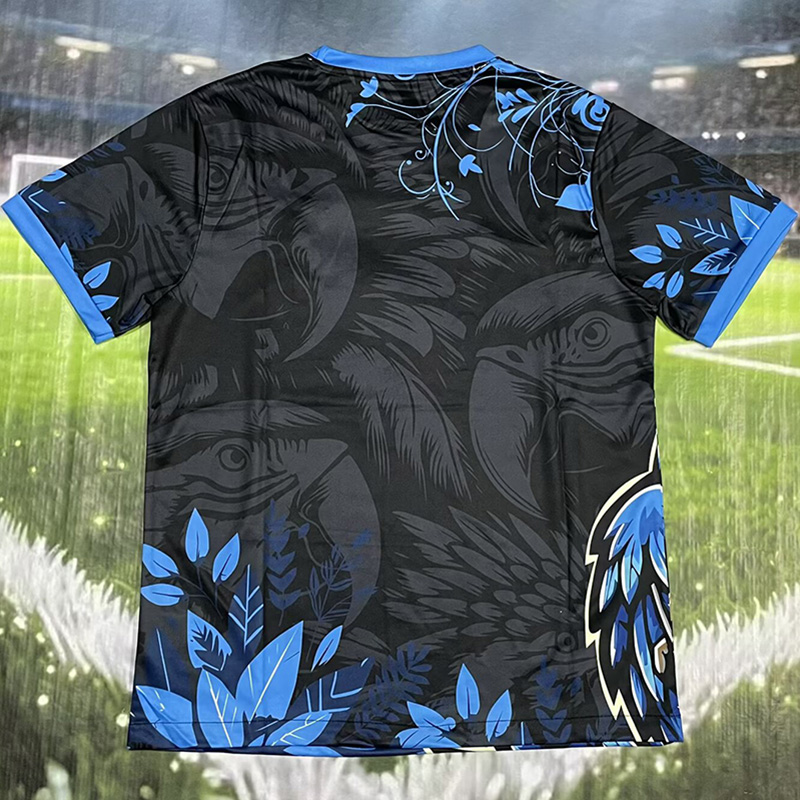 25-26 Brazil Black Blue Special Edition Training shirts
