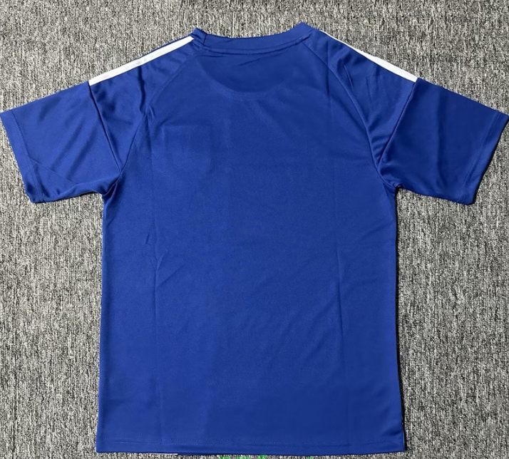 25-26 Japan Blue Special Edition Fans Soccer Jersey *赛亚人