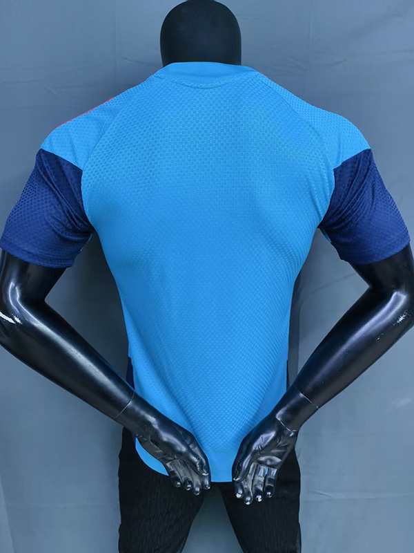 26-27 Spain Lake Blue Player Version Training shirts