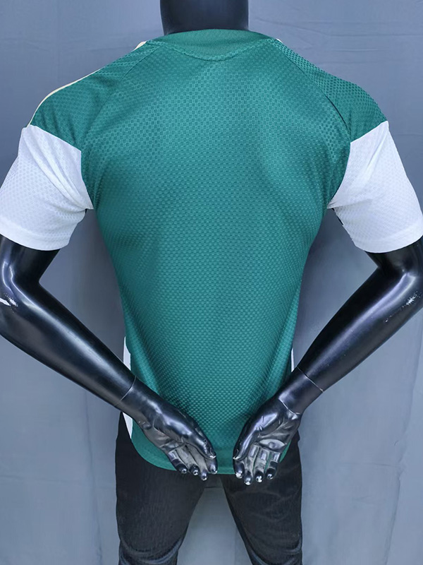 26-27 Italy Green Player Version Training shirts