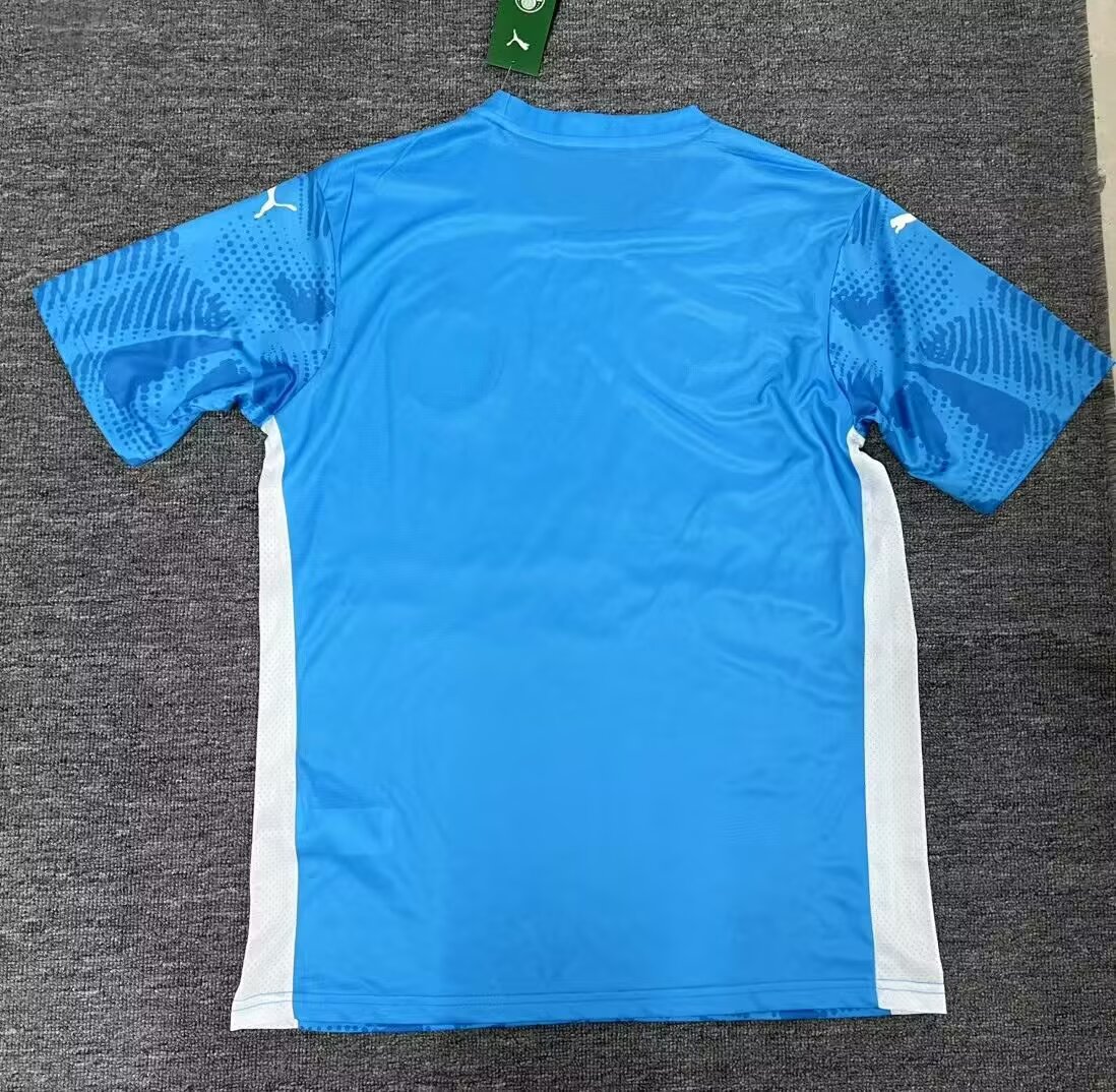25-26 Palmeiras Blue Goalkeeper Soccer Jersey
