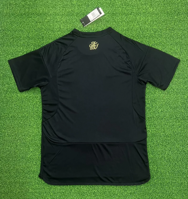 24-25 Aston Villa 125th Anniversary Edition Fans Soccer Jersey