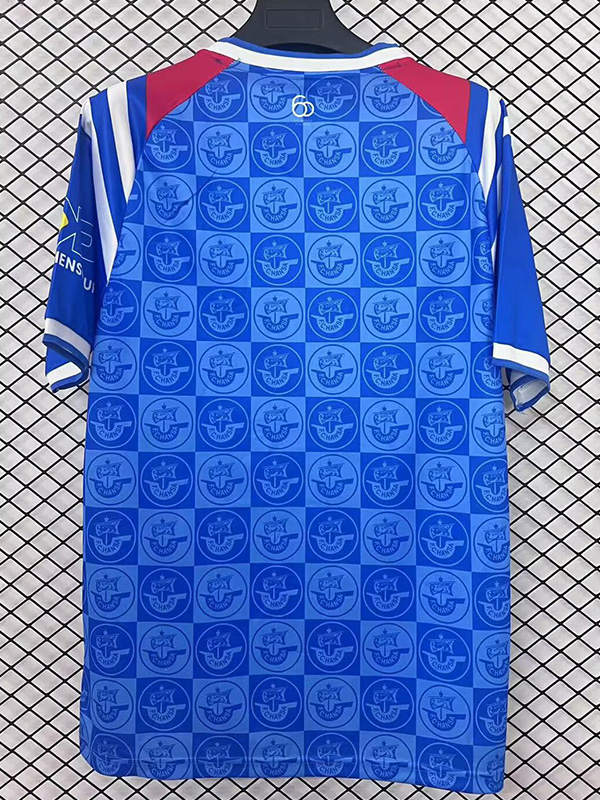 25-26 Hansa Rostock Home Fans Soccer Jersey